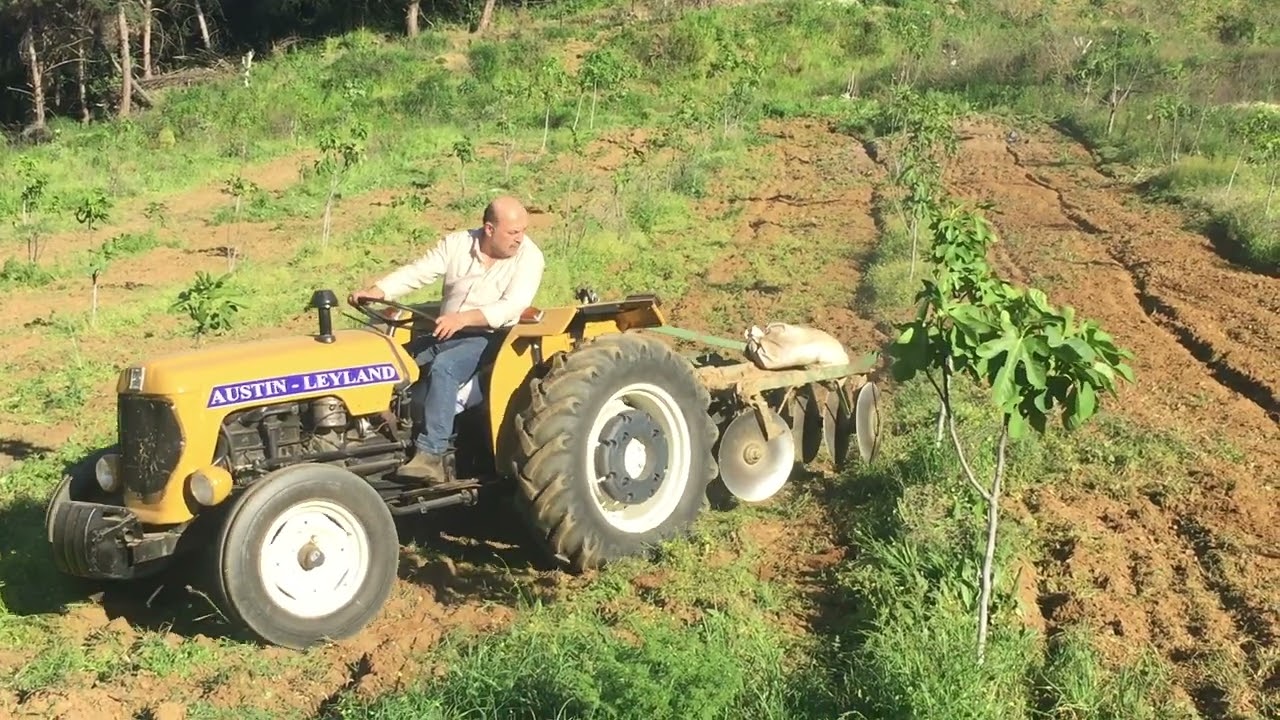 Leyland 154 diskaro &ccedil;ekimi