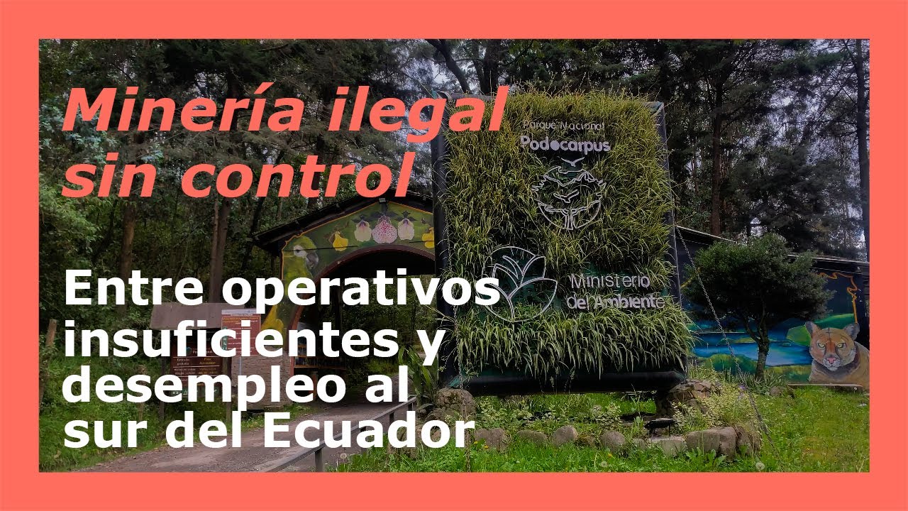 MINERÍA ILEGAL CRECE SIN CONTROL AL SUR DEL ECUADOR: Caso del Parque Nacional Podocarpus