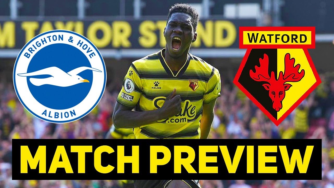 BRIGHTON VS WATFORD PREVIEW! OZAN TUFAN JOINS!