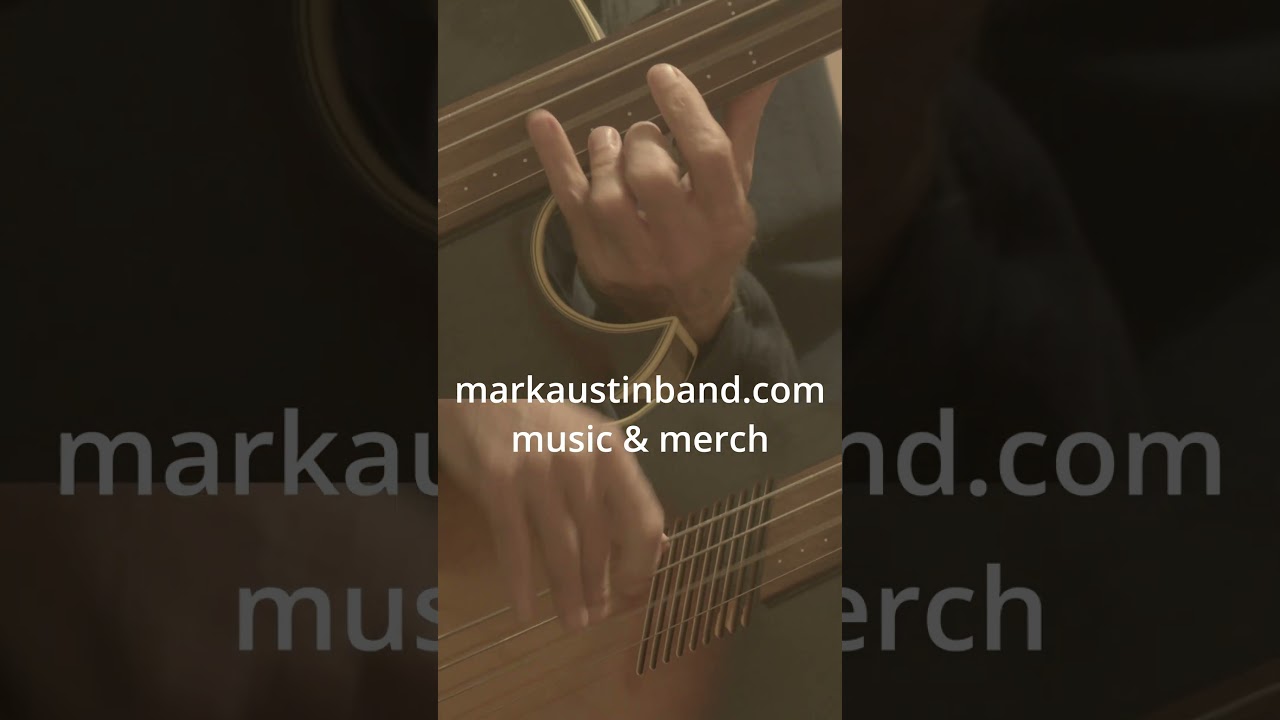 acoustic electric fretless bass Fun 