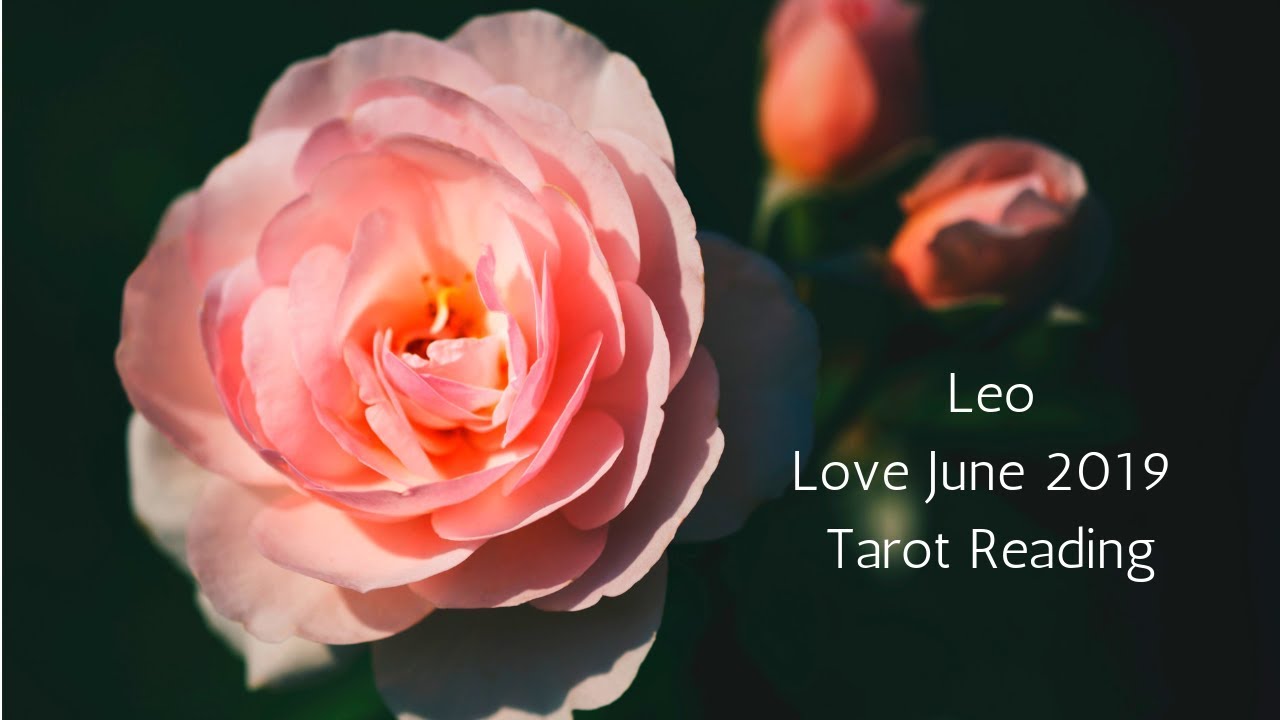 Leo June 2019 // This Connection Isn't A Lie // Love Tarot Reading