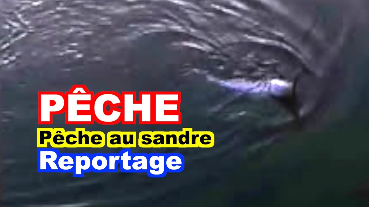 PÊCHE : Pêche au sandre au lac de Castelnau-Lassouts