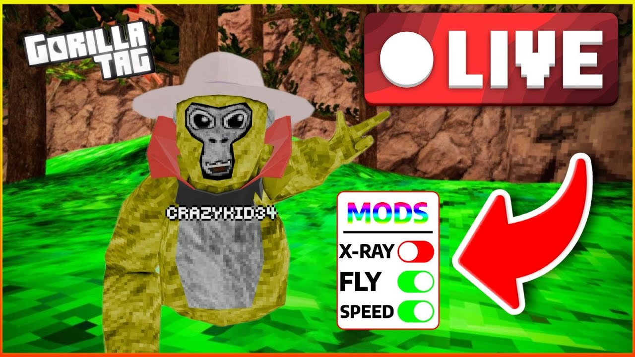 Playing Gorilla Tag with fans