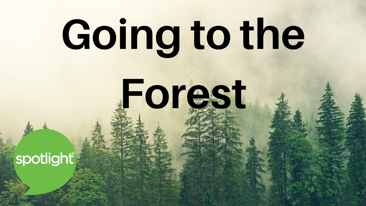 Going to the Forest | practice English with Spotlight