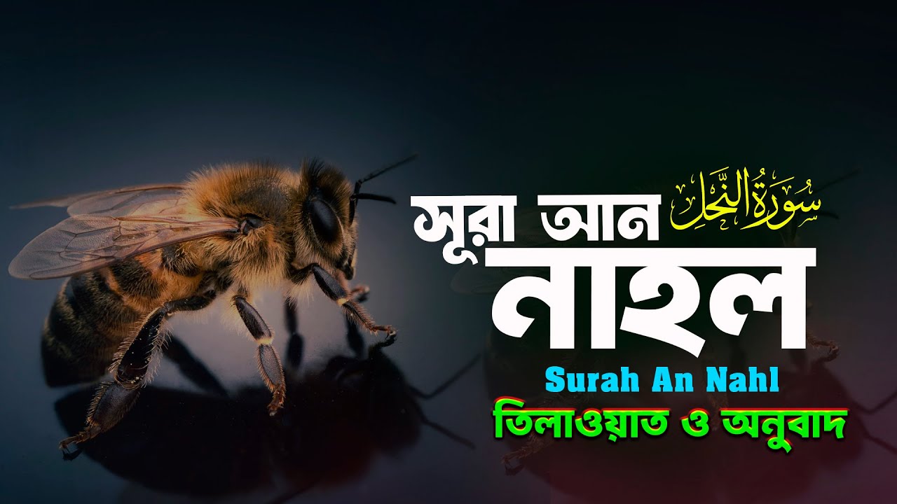 সূরা আন-নাহল Surah An Nahl | سورة النحل | অনুবাদ | Qari Nazmul Hasan | Tahjib Center BD