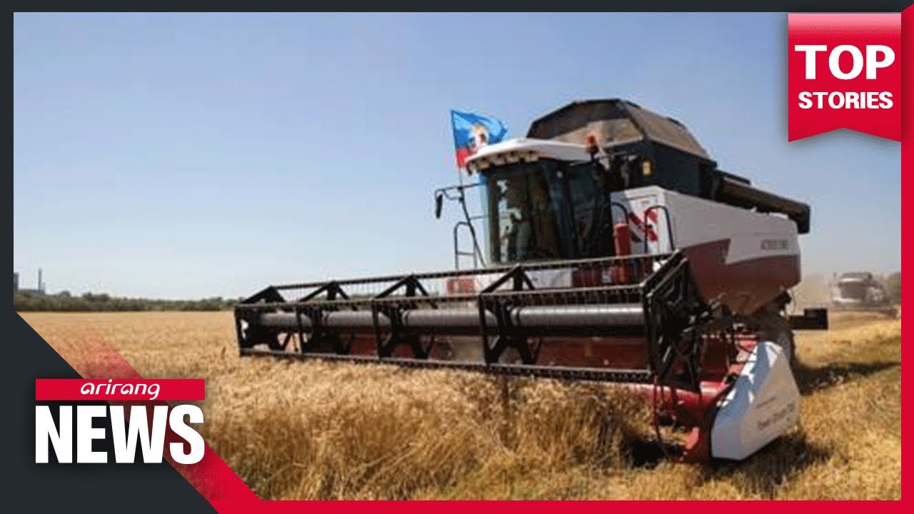 Rise in wheat prices and raw material costs fuels stagflation worries
