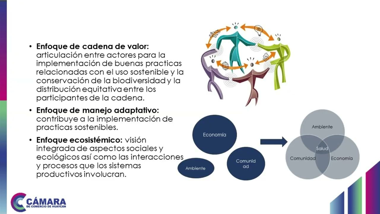 GTSC3M1 - Biocomercio