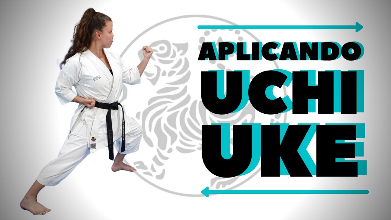 Aplicações - Aplicando o Uchi Uke - Karate Shotokan