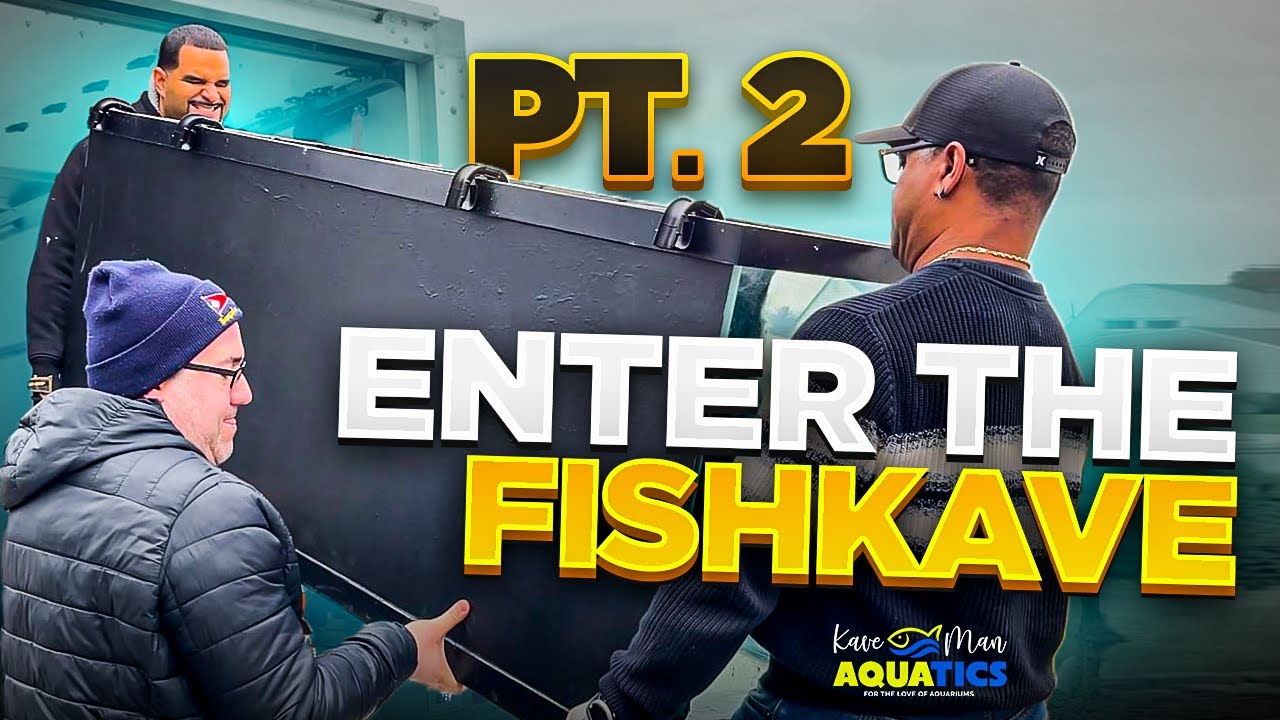The FishKave is Born! - Hardest Project I've Ever Done!