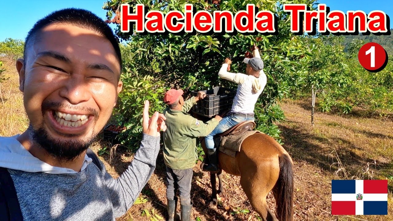 [1] Hacienda Triana (Finca Lama) en Santo Domingo República Dominicana | ドミニカ共和国 ハシエンダ・トリアナ農園