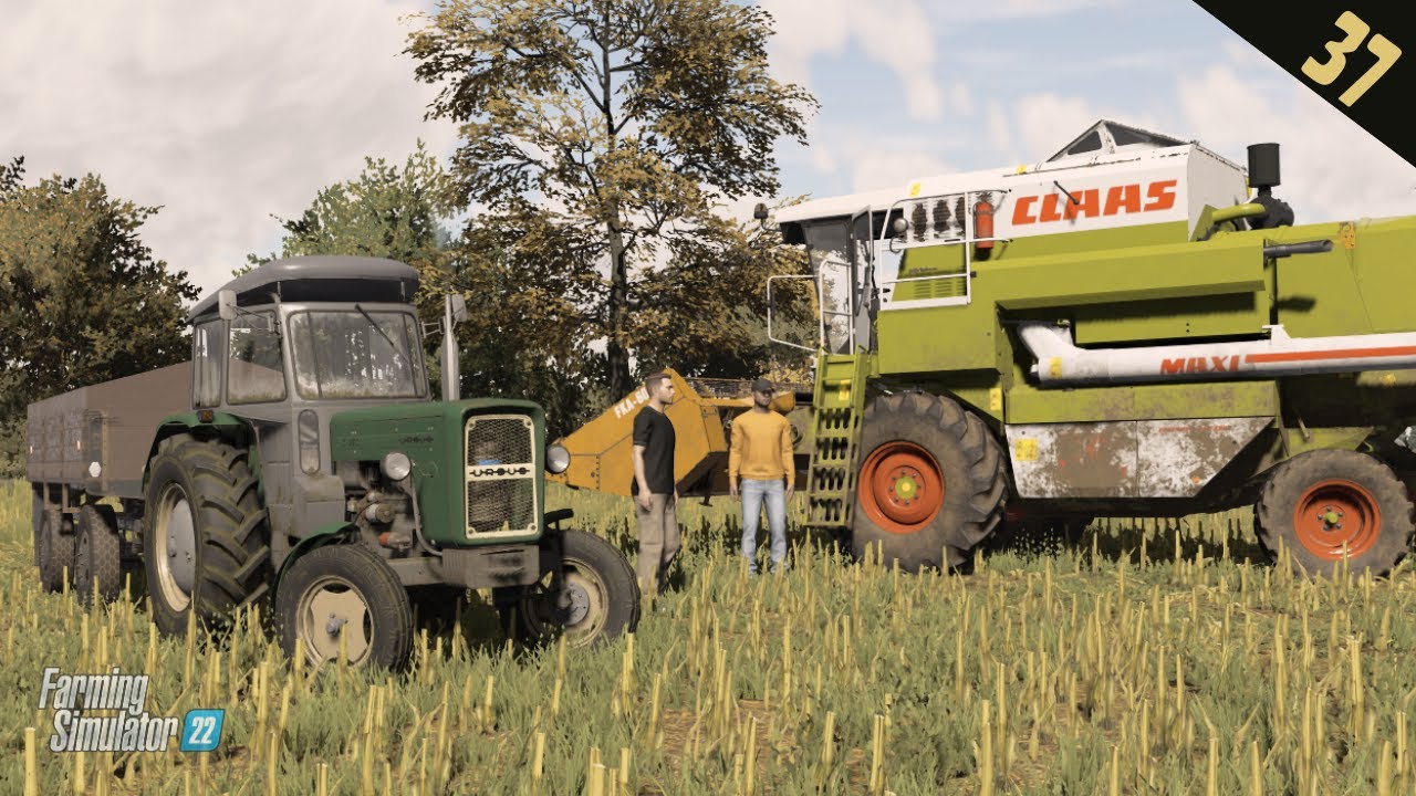 Błyskawiczne żniwa kukurydzy na ziarno | SPADEK 37🚜 FS22