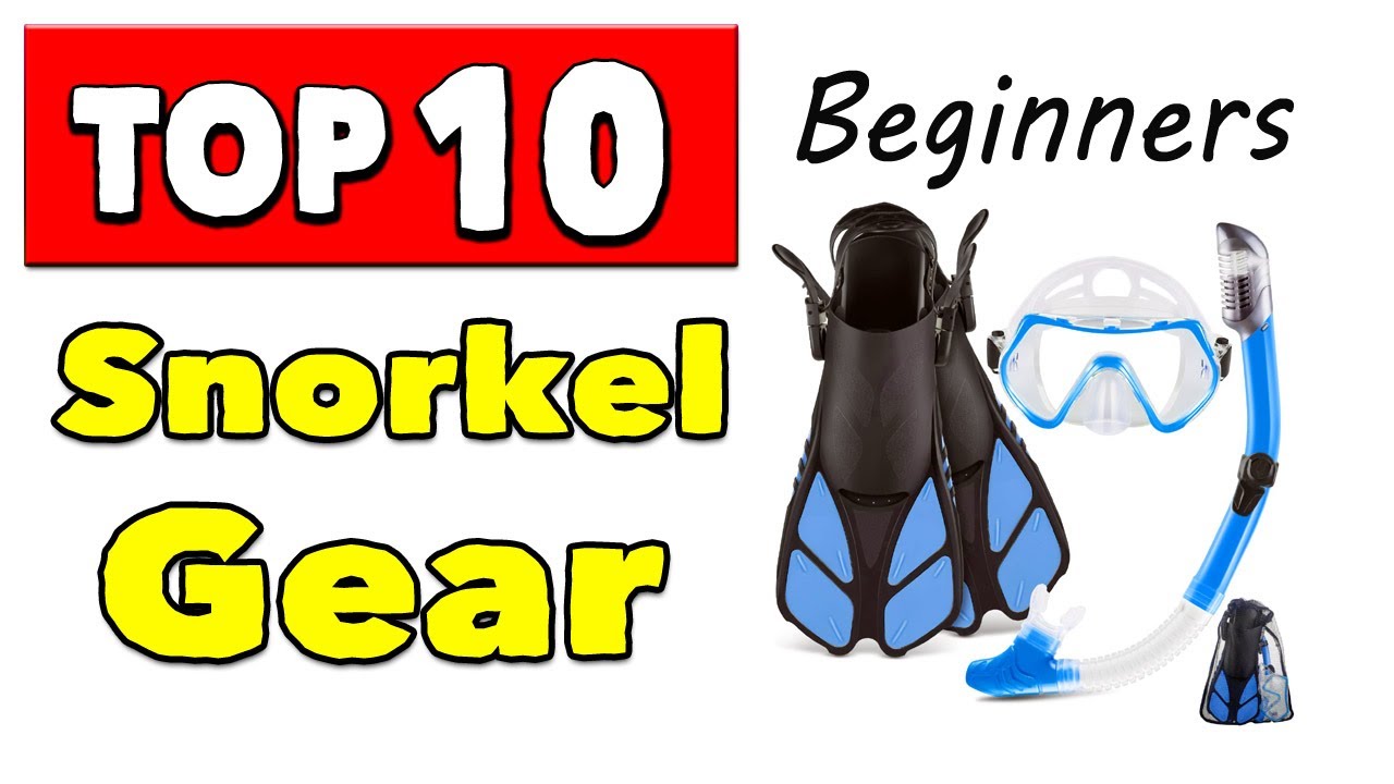 Best Snorkel Gear For Beginners