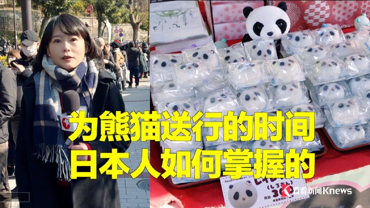 旅日大熊猫回国，日本人如何掌握送行时间的？#日本 #看看看日本