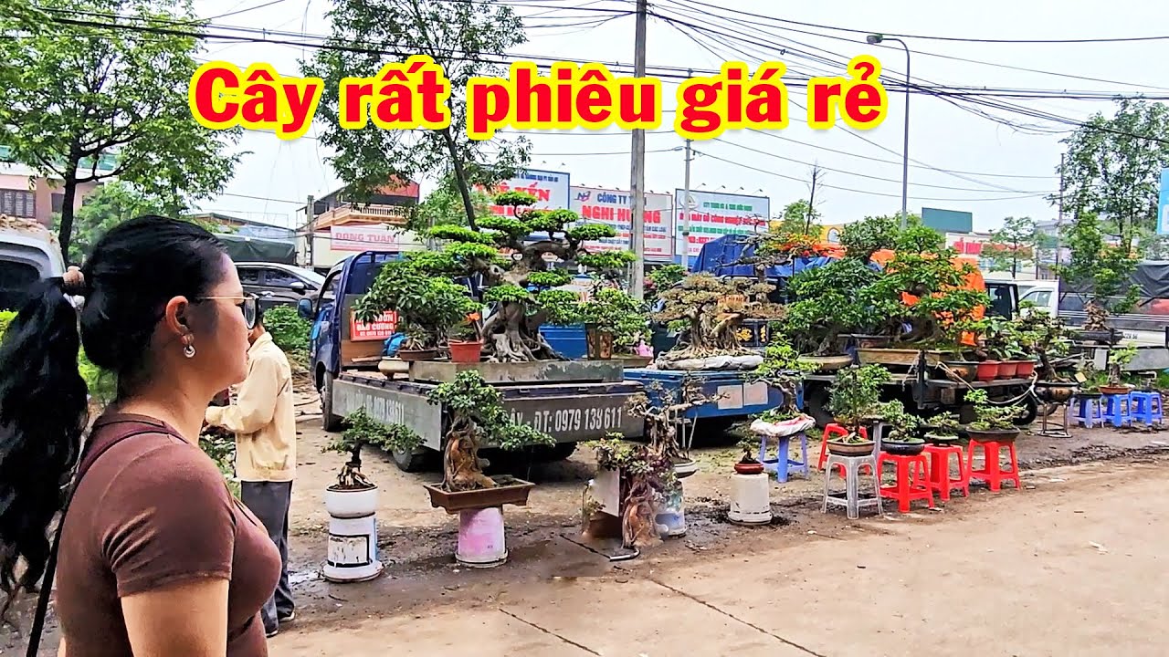 Phiên chợ này rất đông vui, nhiều cây đẹp, sanh nam điền, tiểu cảnh, si, hồng ngọc mai, tùng