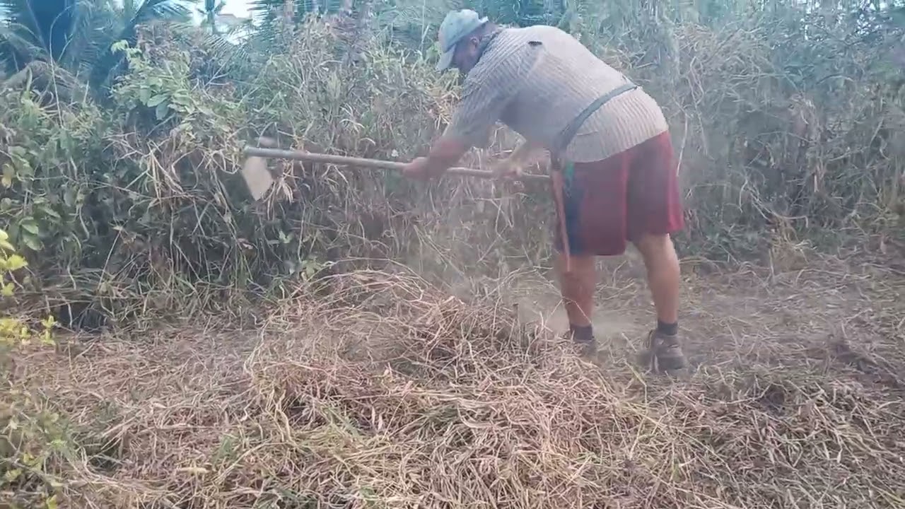 Hoje a enxada comeu Seguro