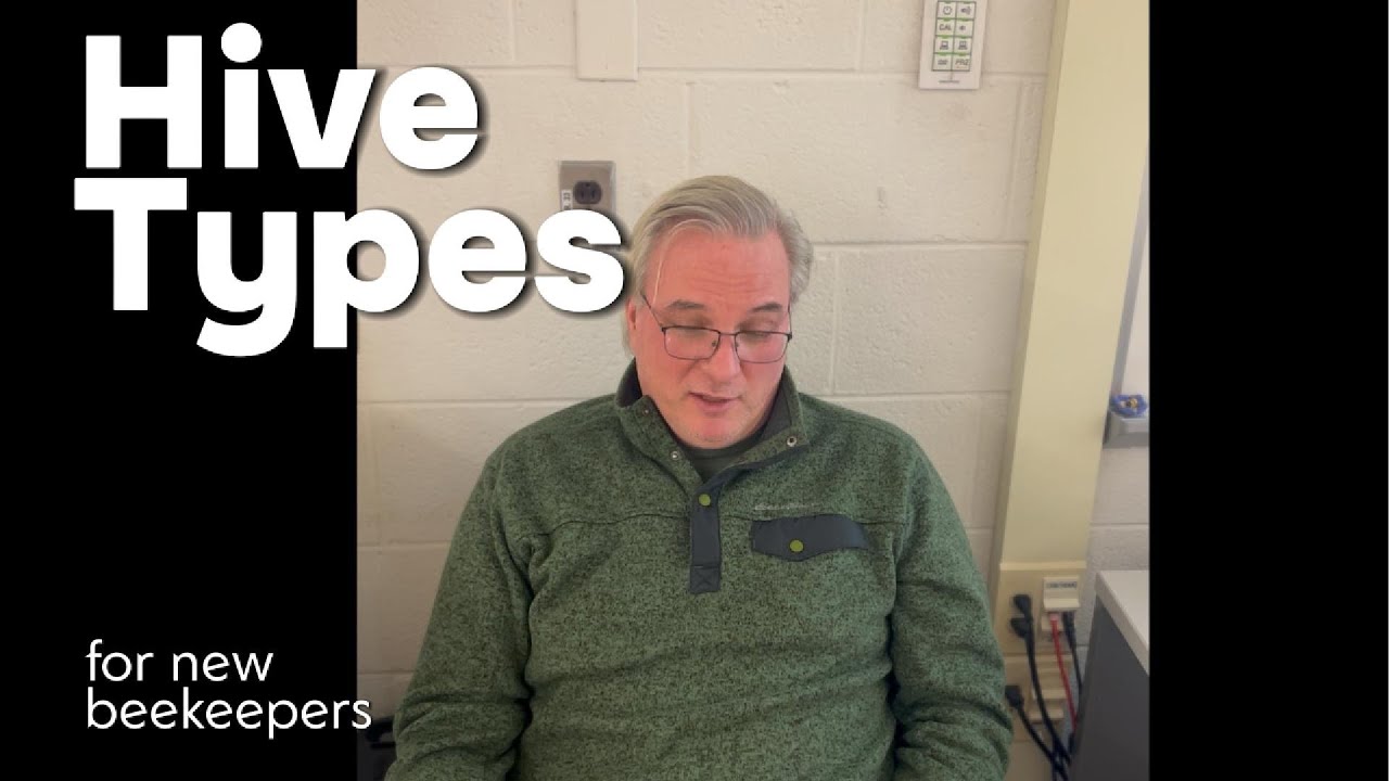 Hive Types for New Beekeepers
