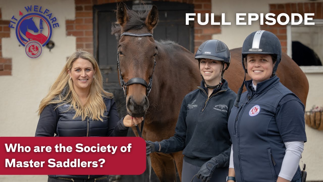 Who are the SMS? | Fit For Welfare with the Society of Master Saddlers | Horse & Country