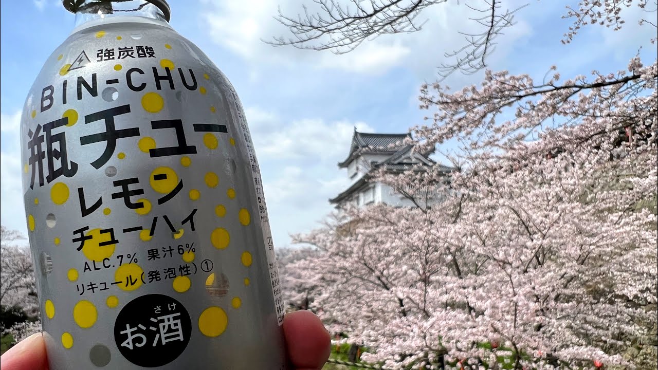 岡山県北民、毎年恒例の鶴山公園でお花見。津山さくらまつりスケジュール
