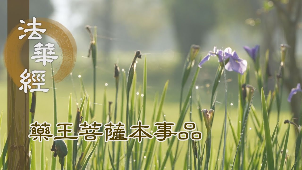 【靜思妙蓮華】 法華經 藥王菩薩本事品 - 聞經書寫 種種供養 - 第1859集 20250127