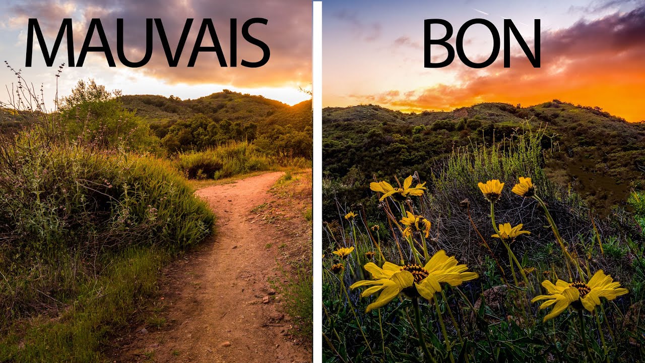 La différence entre une bonne et une mauvaise composition photographie de Paysage