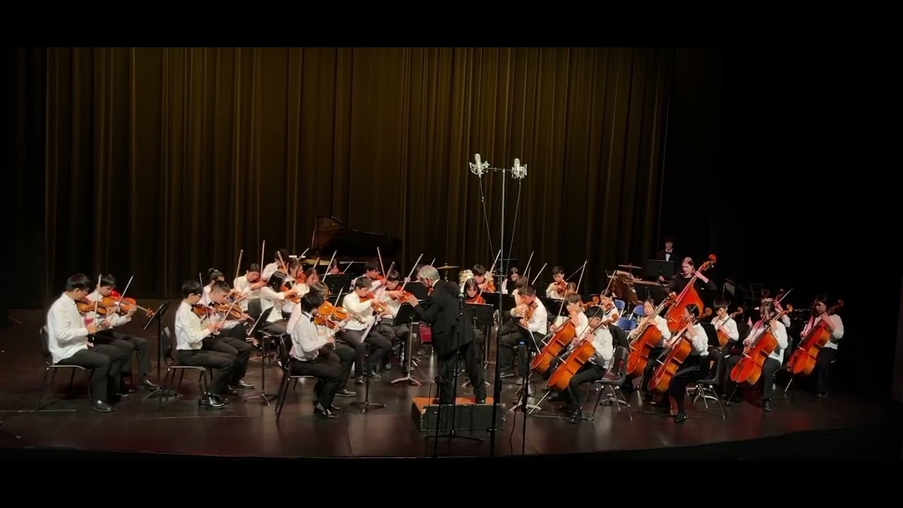 Brahms Hungarian Dance No. 5 RDYO Senior String Orchestra 