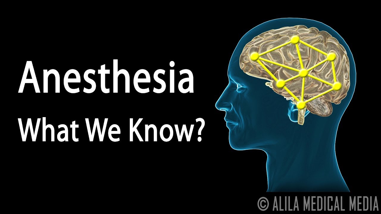 Основы нейронауки: анестезия, как это работает, анимация.