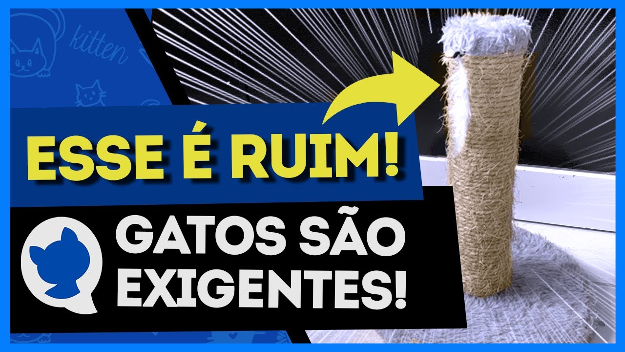 4 MOTIVOS QUE FAZEM O GATO IGNORAR O ARRANHADOR