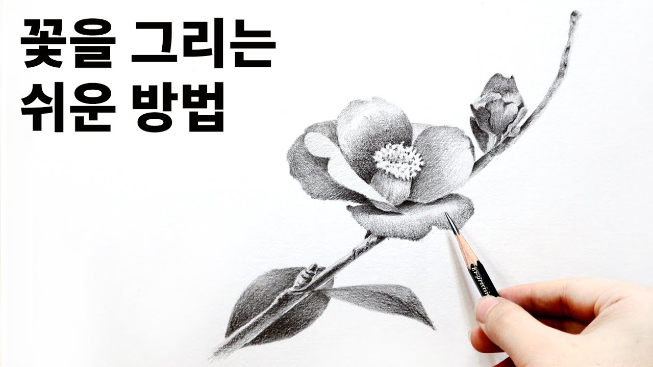 초보자를 위한 연필소묘 꽃 그리기 수업 / 연필소묘, 기초소묘 Draw flowers with a pencil
