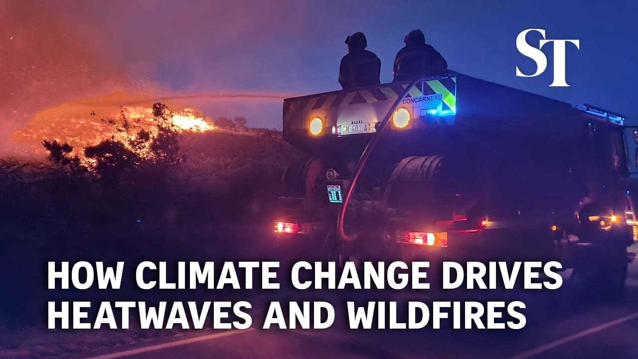 How climate change drives heatwaves and wildfires
