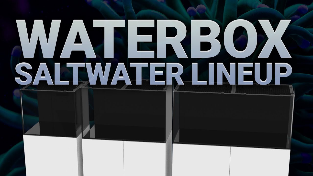 Waterbox Saltwater Aquariums - A Full Breakdown!