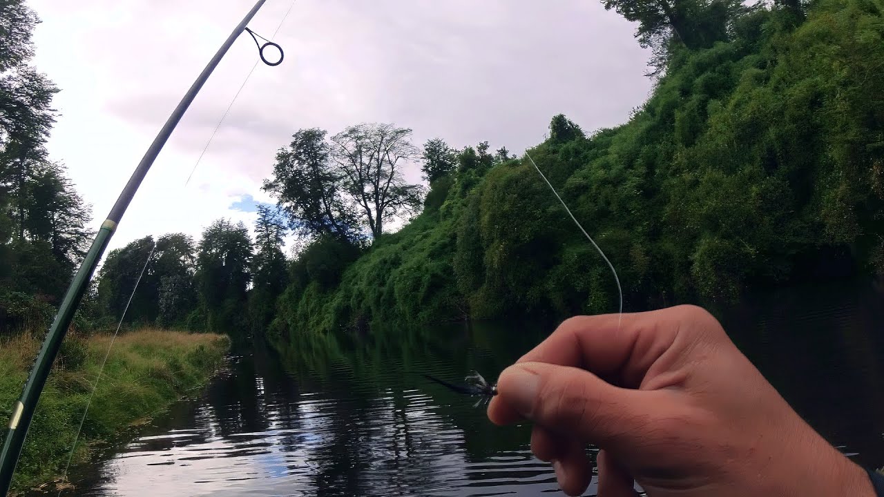Truchas a micro streamer con ca&ntilde;a de spinning