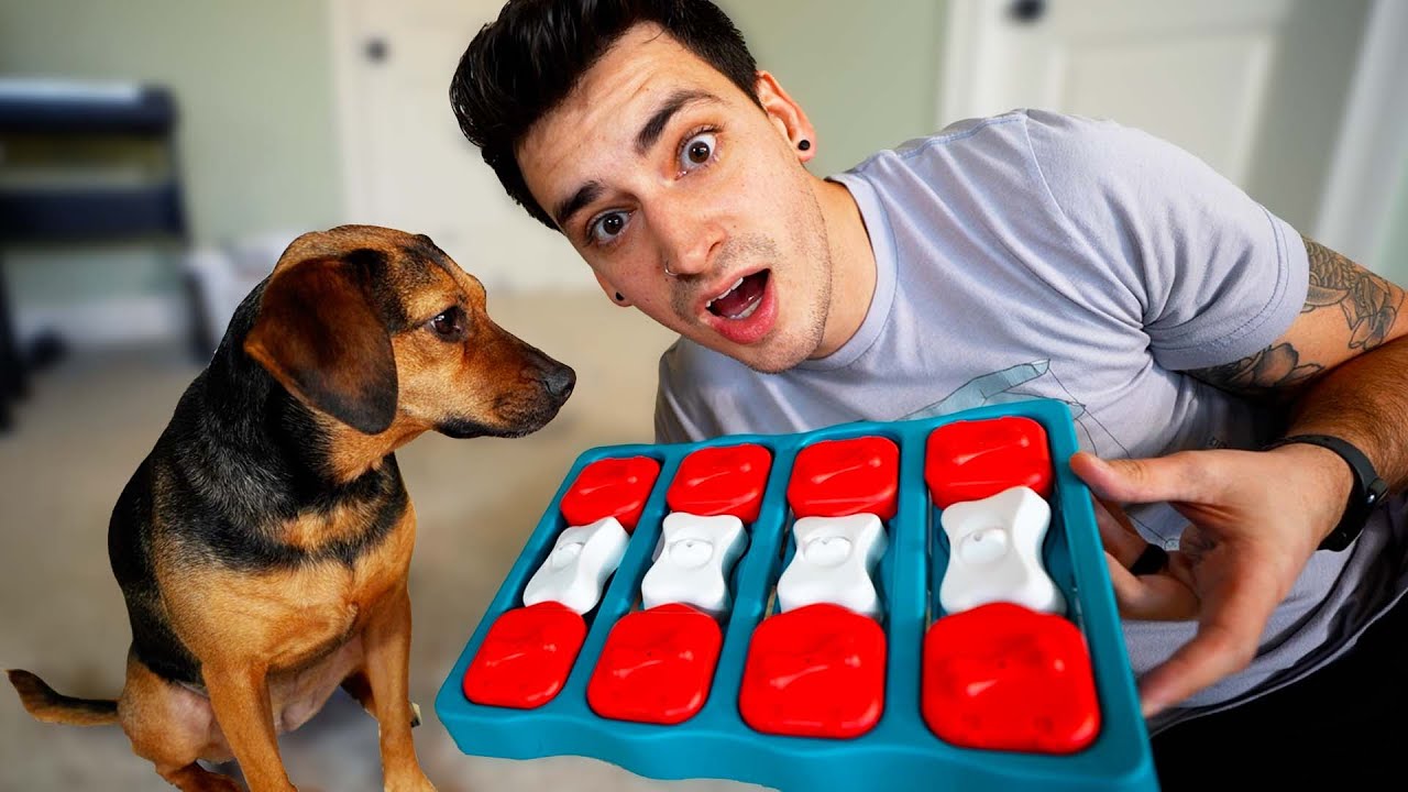 I Have The SMARTEST Dog In The World