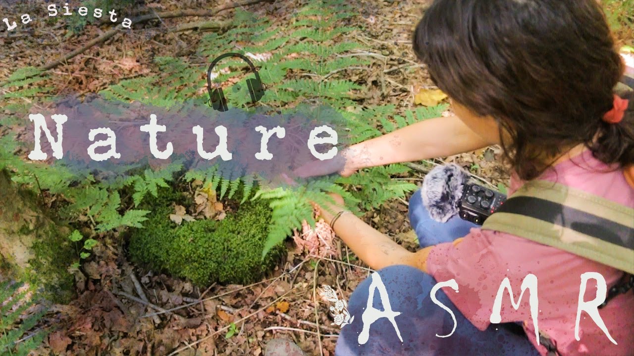 ASMR español🌳ASMR fuera: En el CAMPO🍂Sonidos agua+naturaleza+pasos+hojas árboles🌷Wrekin