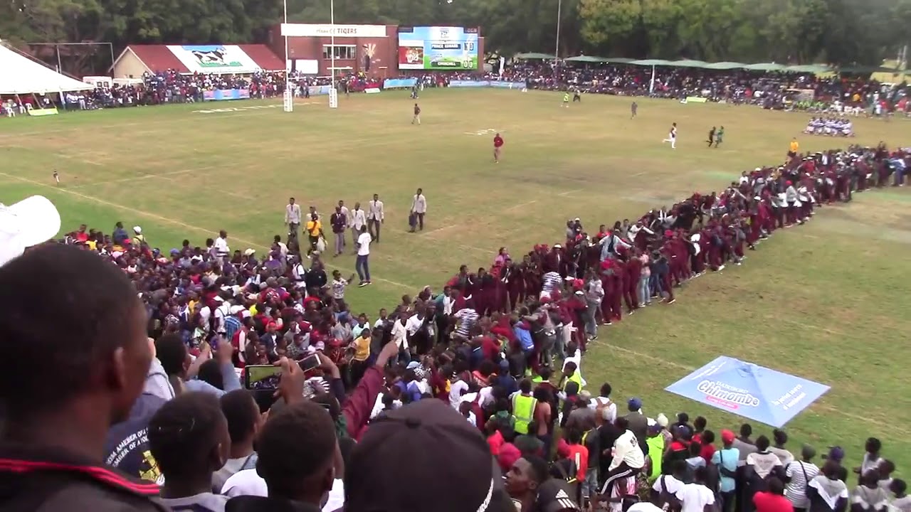 Longest tunnel in school buy rugby