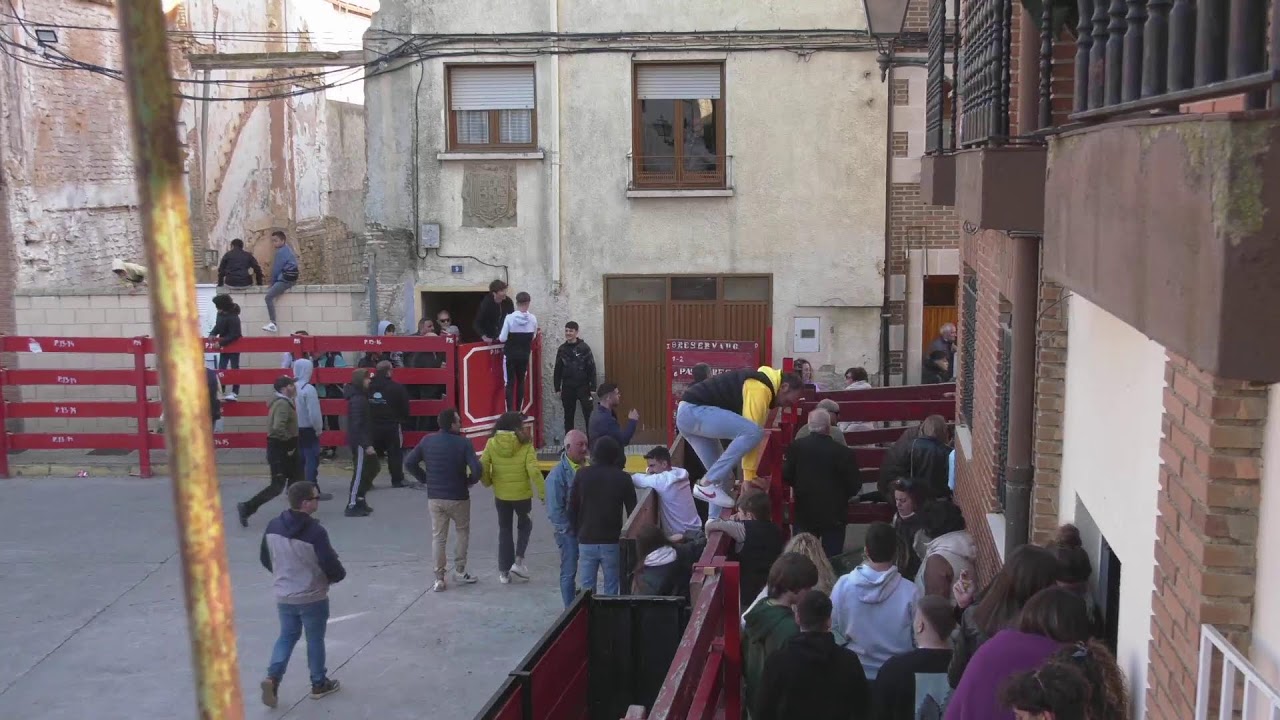 Encierro Fiestas Juventud 2024 - Marcilla.