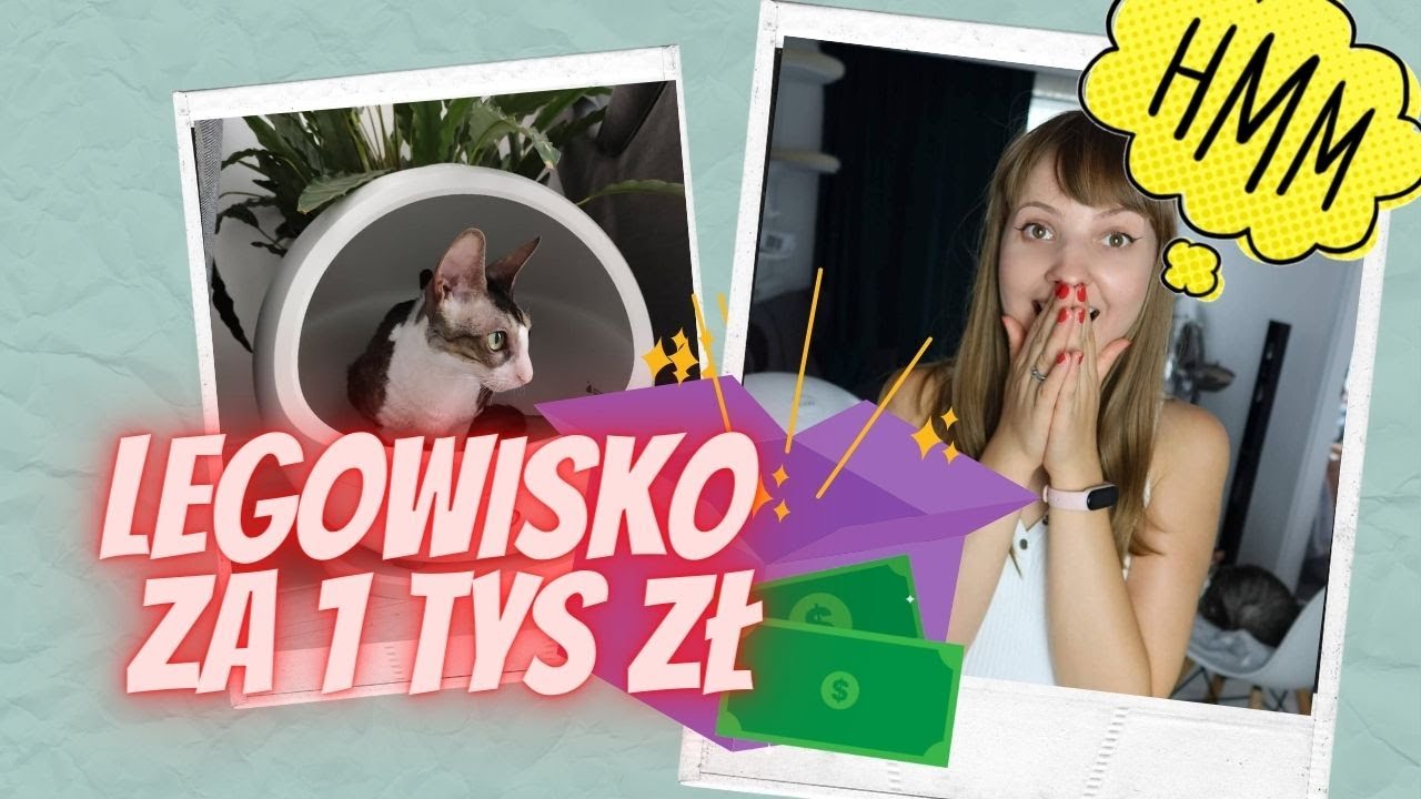 Legowisko dla psa lub kota za... TYSIĄC złotych! 😱