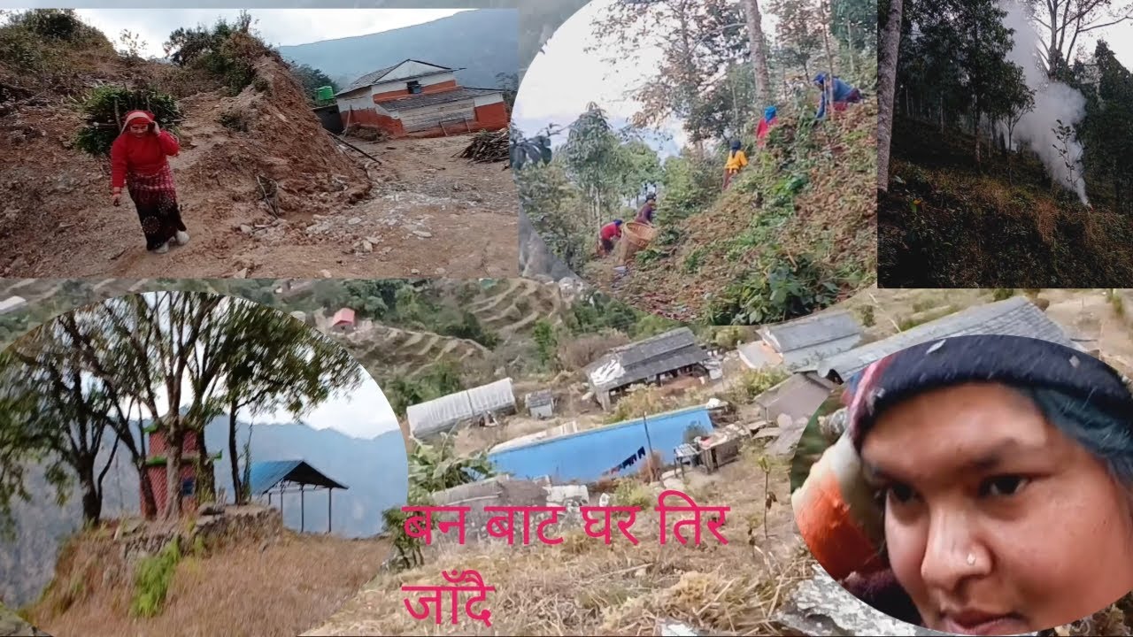 बन सफाई  गर्नु जाँदा यस्तो  होला भनेर सोचेको थिइन 😮‍💨😮‍💨