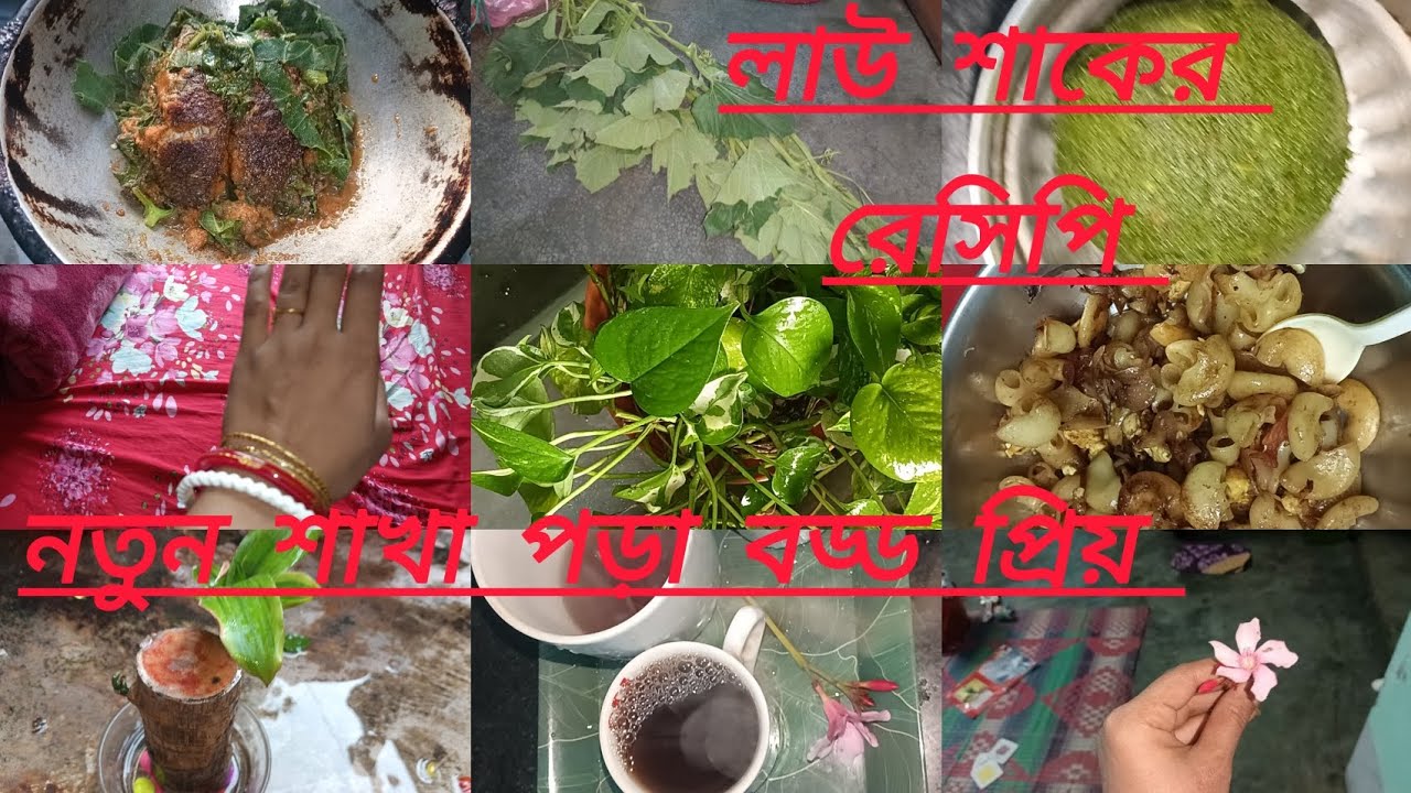 🌹শ্বশুরবাড়িতে ভালো বউ হতে হলে চোখ কান আর মুখ এই তিনটি জিনিস বন্ধ রাখতে হবে✅