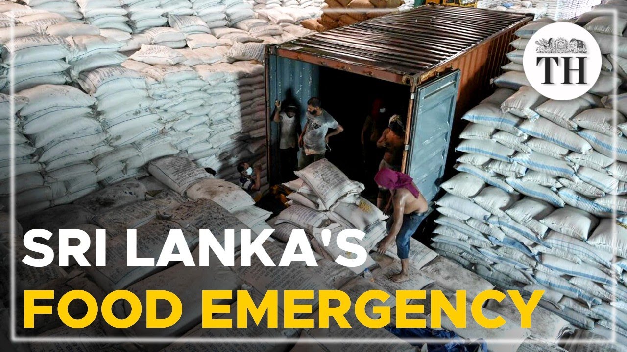 Explained | What is the &lsquo;food emergency&rsquo; in Sri Lanka?