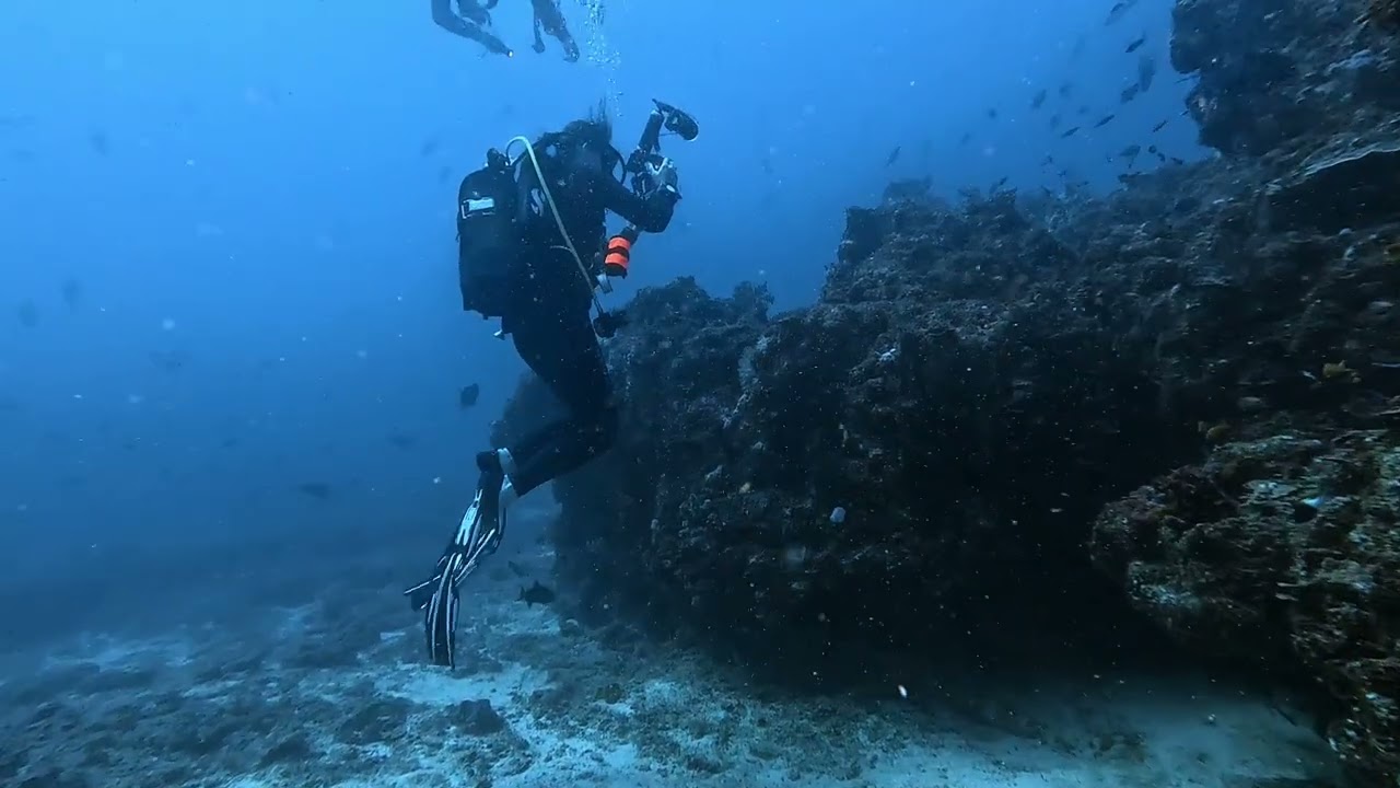 Mozambique Scuba 2025