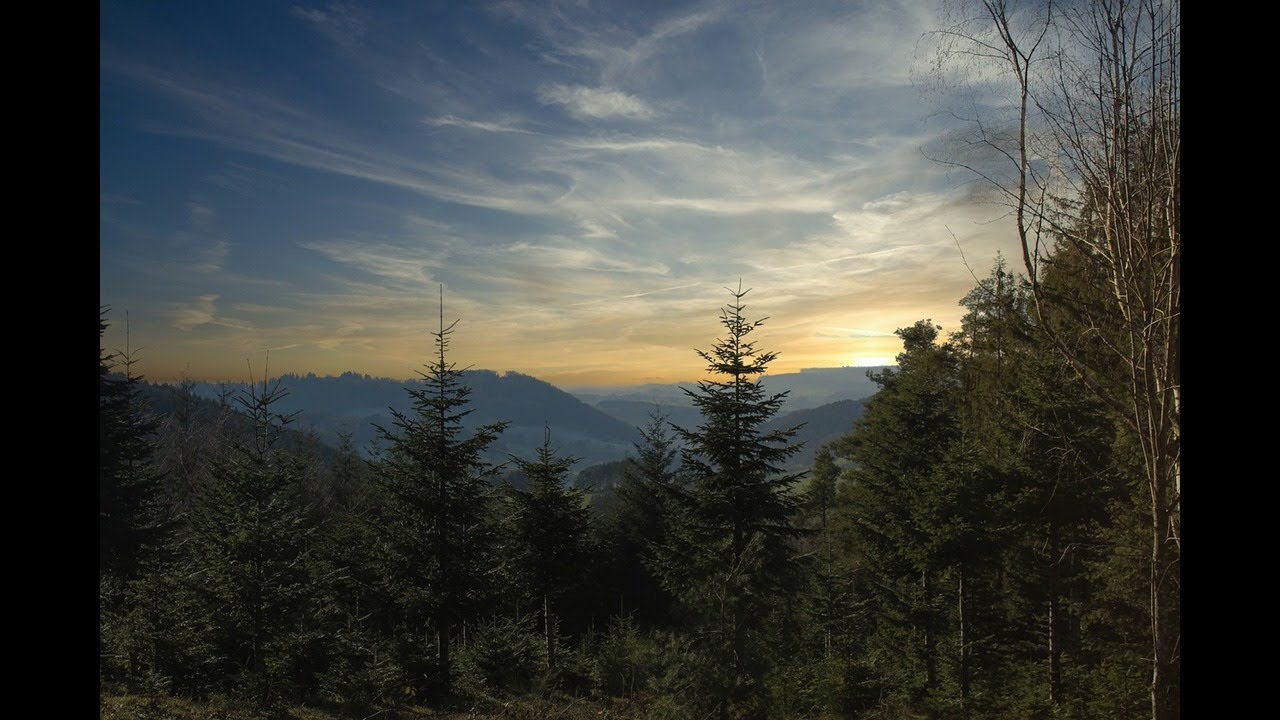 Black Forest Trip Germany