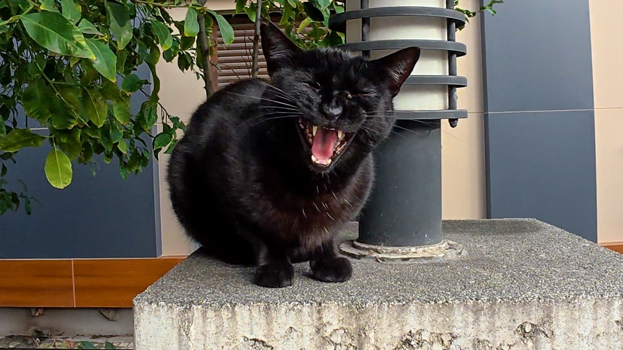 Все проходили мимо неё, она просто хотела любви.