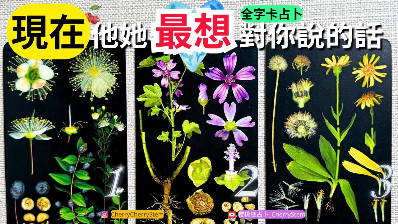 🍒 💝「全字卡占卜」此刻, 他她 的心裡最想要告訴你的話｜他她想要對你說 ♥️ 請開啟字幕 🟣無時間限制占卜 🟡  #塔羅 #占卜 #字卡 #tarot #oracle #愛情 #感情 #喜歡