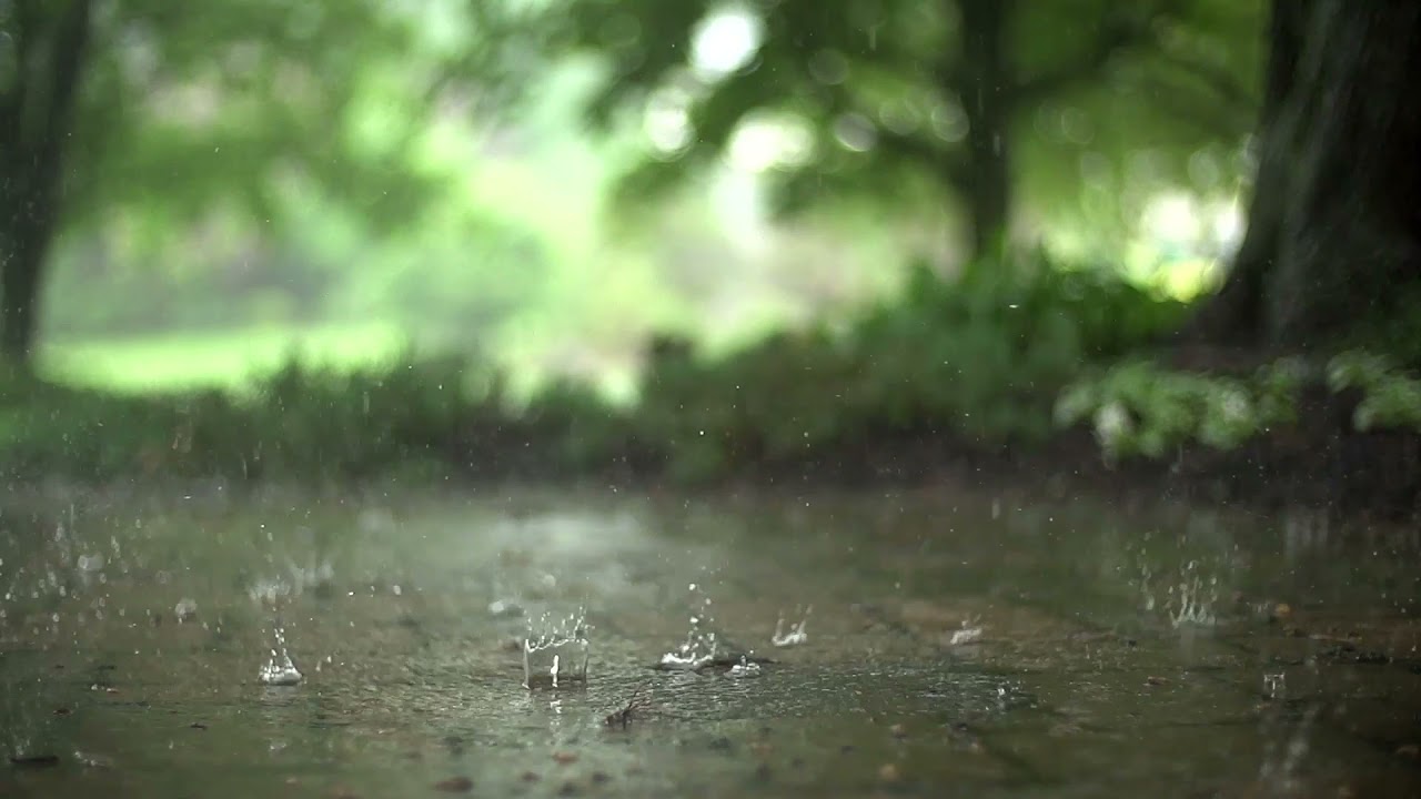 1h de chuva para seu relax, estudo e medita&ccedil;&atilde;o