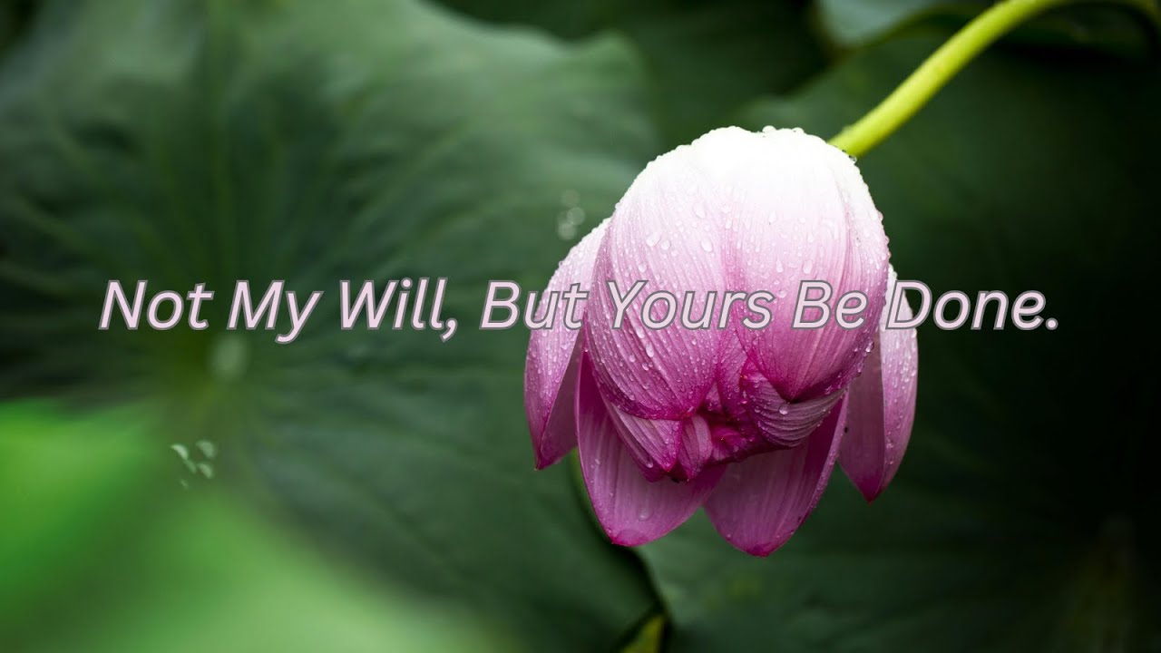 Not My Will, But Yours Be Done.