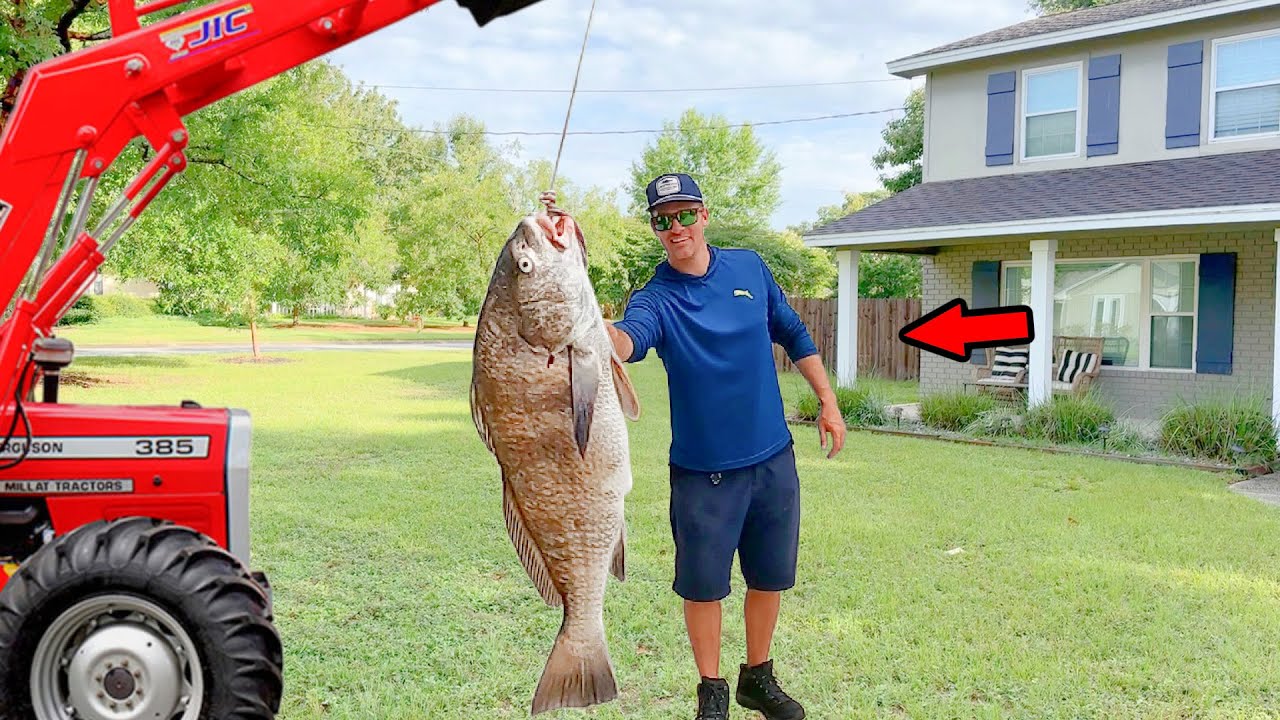 Catching and Cooking Monster Fish from Shore for 1 Hour!