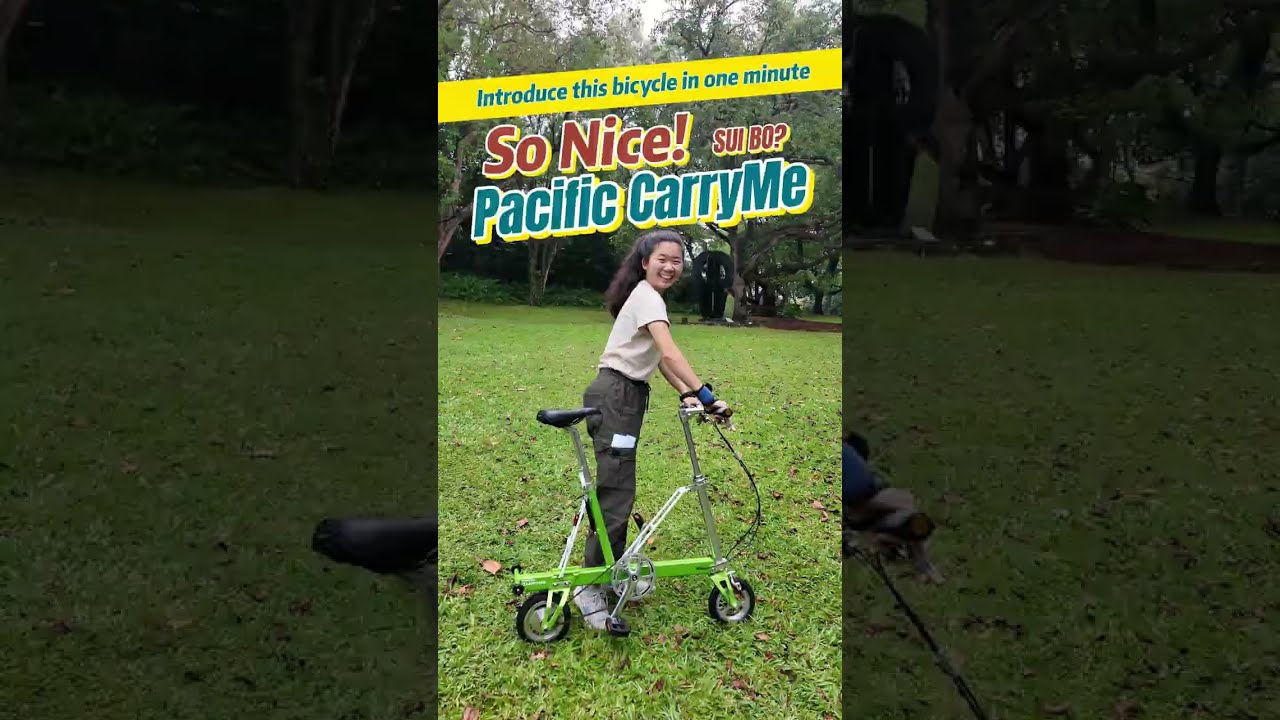 Представляем Pacific CarryMe за одну минуту!