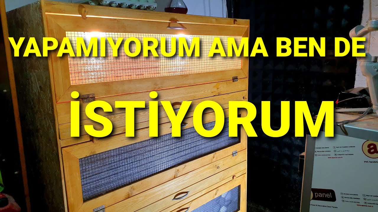 MÜHENDİSİN ANA KUCAĞINDAN İSTİYORUM AMA YAPAMIYORUM DİYENLER BURAYA. 3 GÜNLÜK CİVCİVLER. #tavuk