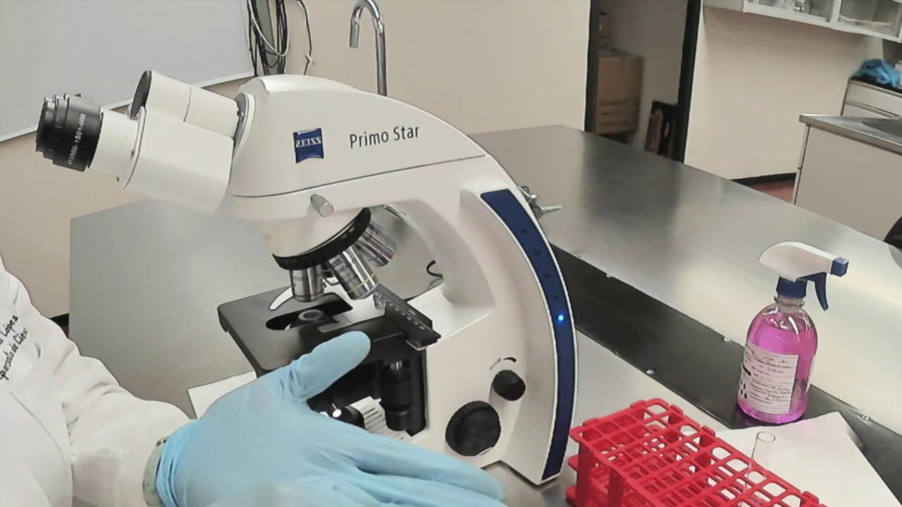 Práctica. Obtención y conservación de muestra de saliva y esputo