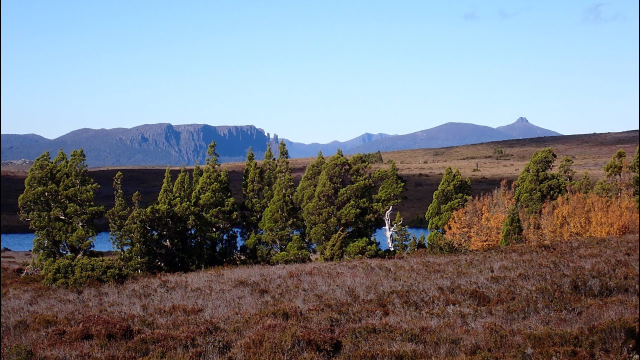 OVERLAND TRACK. A Sandy Weather Adventure. Day 2. Waterfall Valley to Windermere.